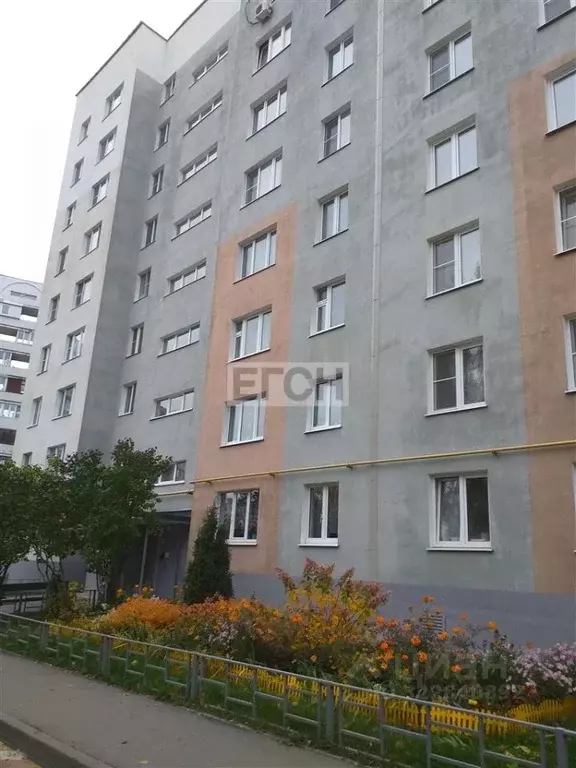 2-к кв. Московская область, Ногинск Богородский городской округ, ул. ... - Фото 1