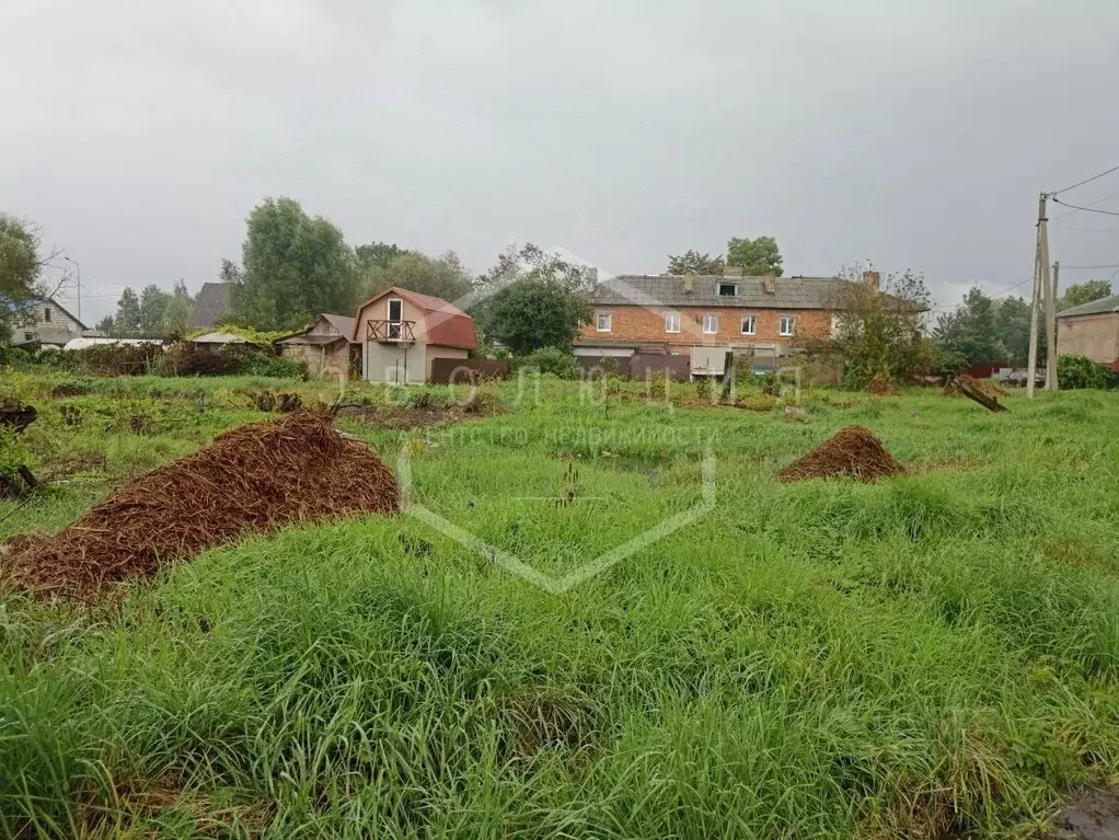 Участок в Калининградская область, Гурьевский муниципальный округ, ... - Фото 2