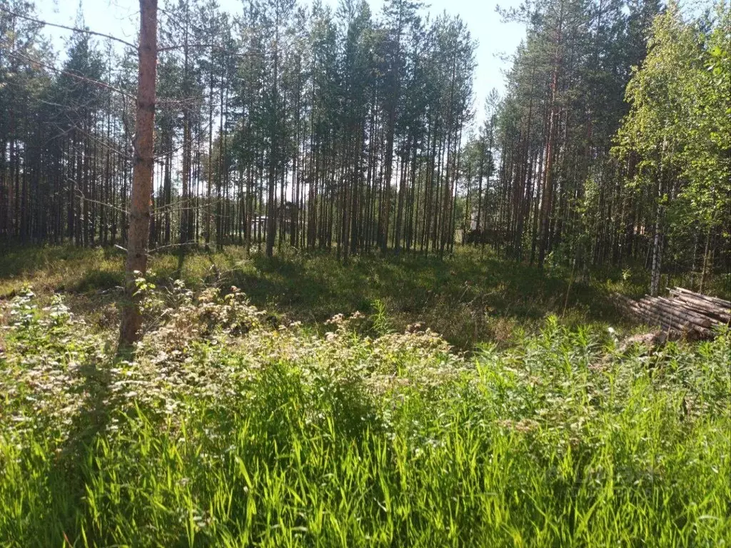 Участок в Коми, Сыктывкар городской округ, Верхняя Максаковка пгт 6-я ... - Фото 1