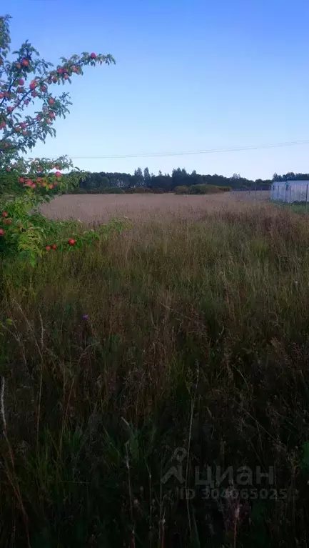 Участок в Новгородская область, Новгородский район, Ракомское с/пос, ... - Фото 1