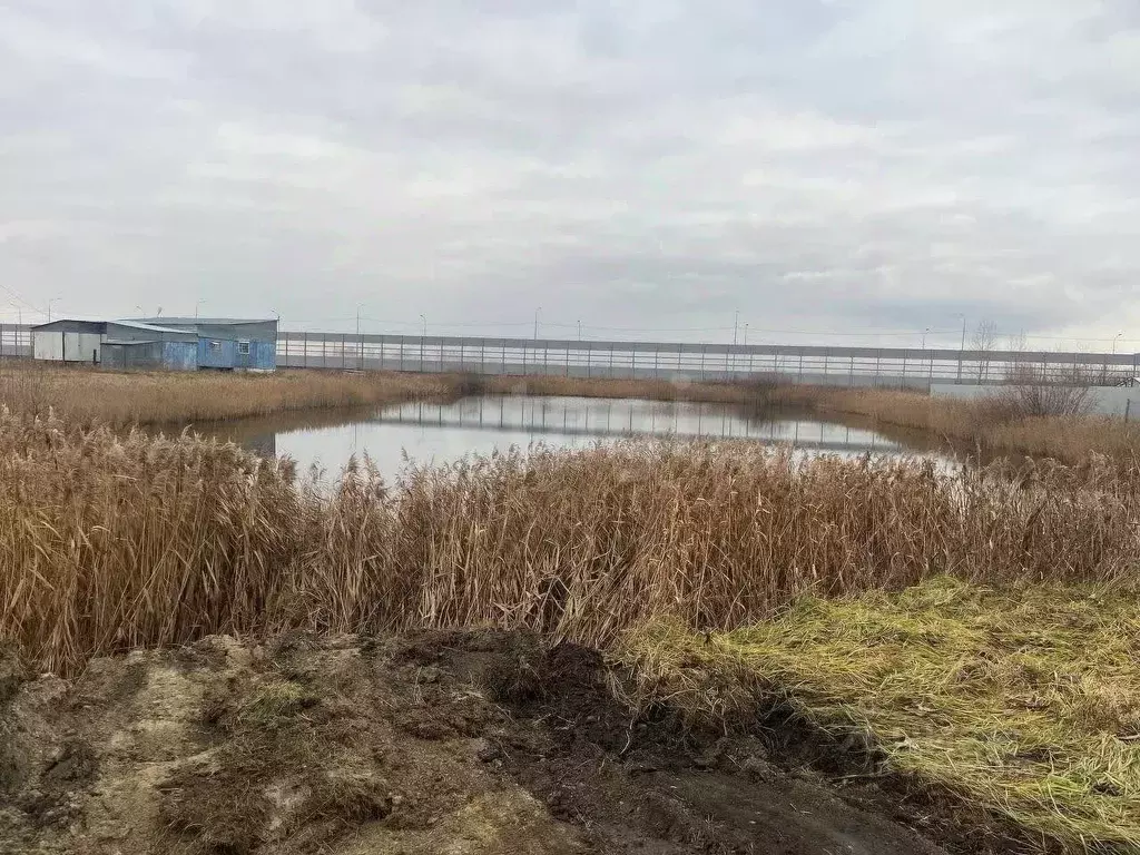 Участок в Тюменская область, Ялуторовский муниципальный округ, с. ... - Фото 2