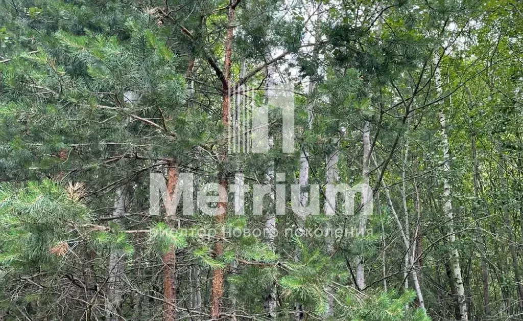 Продается участок в ДСК Саланг - Фото 2