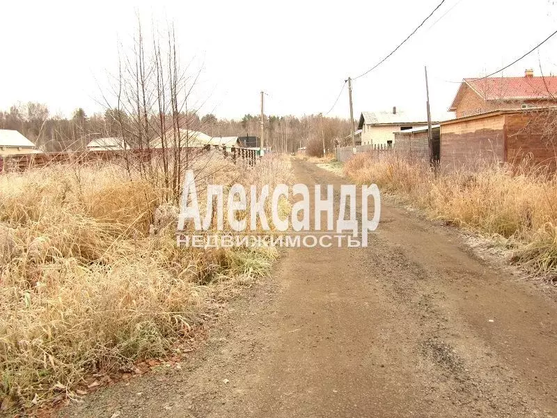 Участок в Ленинградская область, Всеволожский район, Бугровское ... - Фото 1