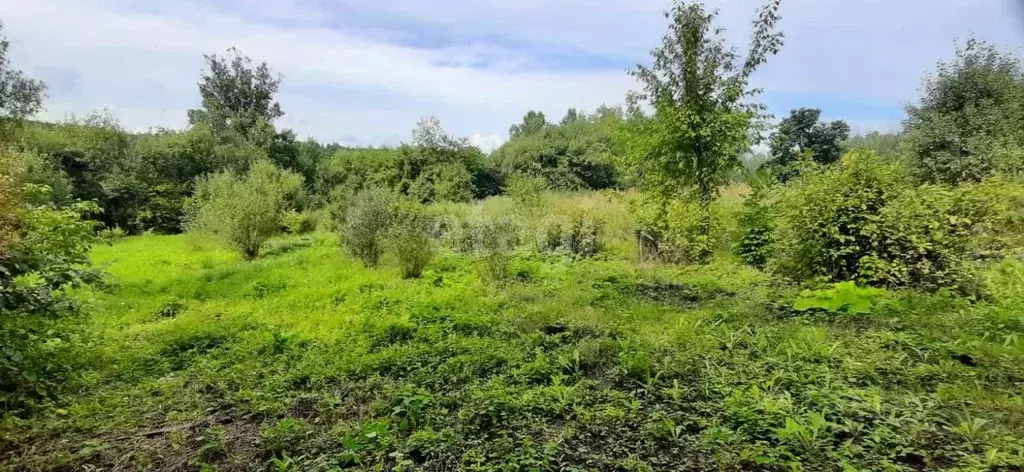 Участок в Амурская область, с. Тамбовка, Оптимист СНТ  (10.0 сот.) - Фото 1
