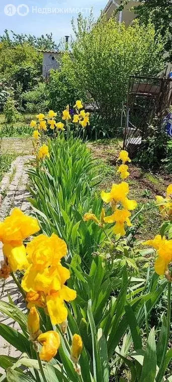 Дом в Феодосия, Виноградная улица (40 м) - Фото 1