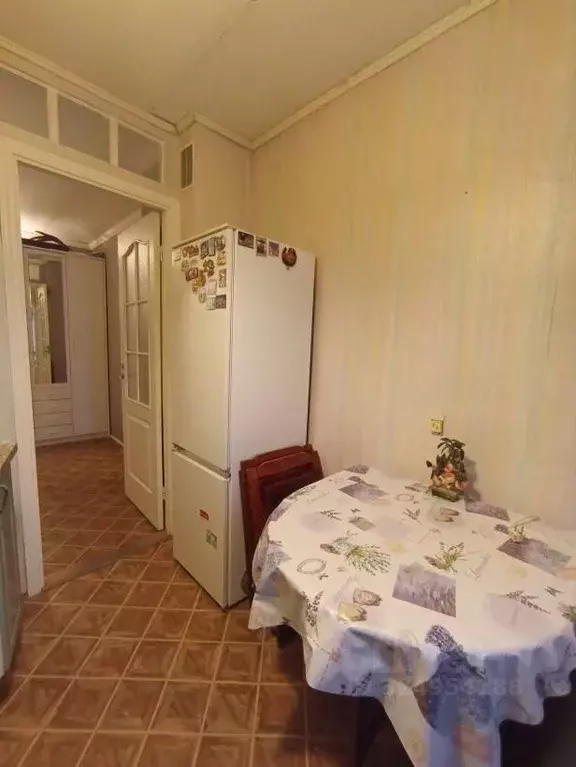 1-к кв. Санкт-Петербург просп. Просвещения, 53К1 (33.0 м) - Фото 1