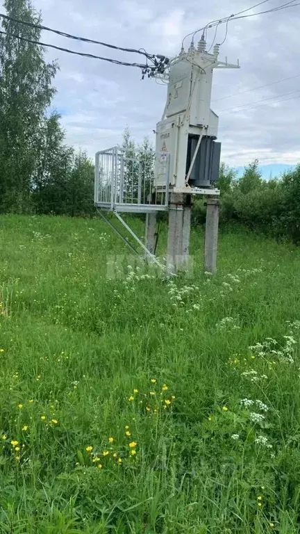 Участок в Вологодская область, Усть-Кубинский муниципальный округ, д. ... - Фото 2