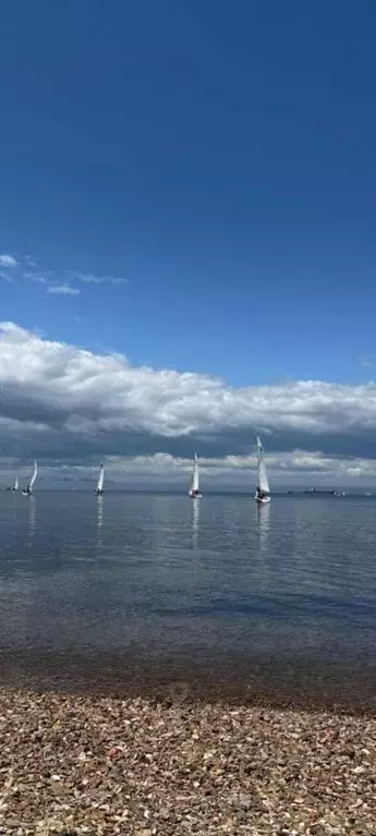 1-к кв. Приморский край, Владивосток ул. Авраменко, 13 (14.0 м) - Фото 1