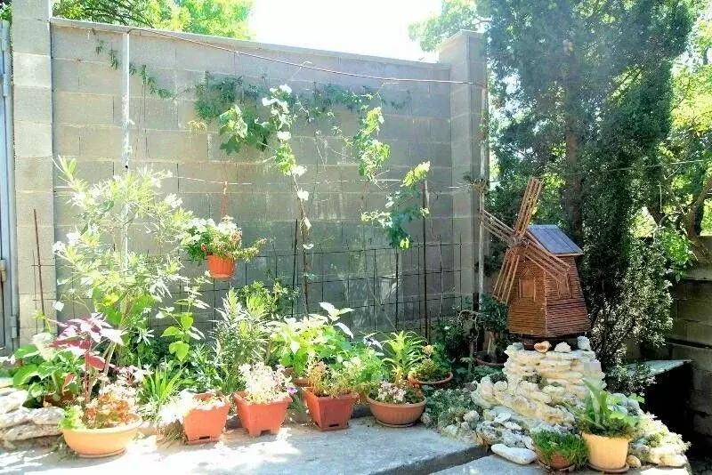 Дом в Крым, Ялта городской округ, Кацивели пгт ул. Виткевича, 10 (124 ... - Фото 1