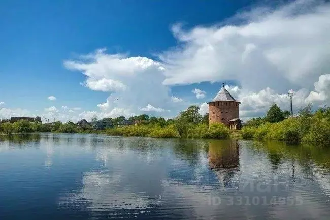 Участок в Новгородская область, Великий Новгород Район Воскресенская ... - Фото 2