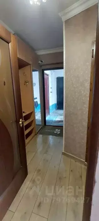 1-к кв. Дагестан, Дербент ул. Имени Надыра Эмиргамзаева, 36 (40.0 м) - Фото 1