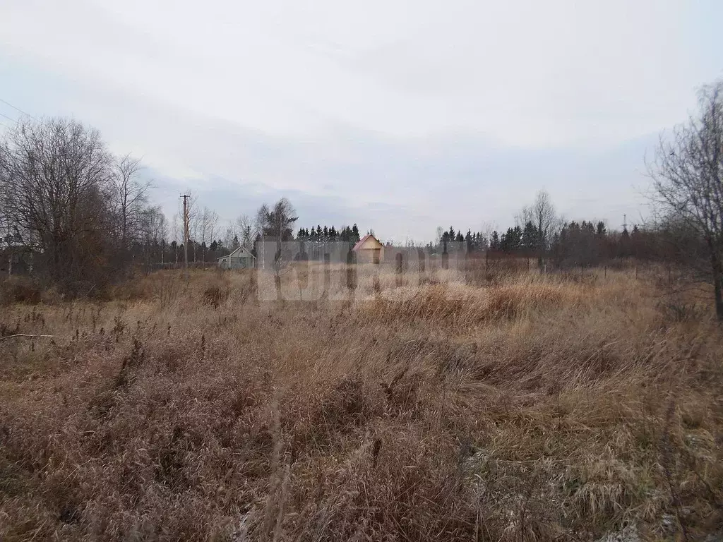 Участок в Вологодская область, Сокольский муниципальный округ, д. ... - Фото 1