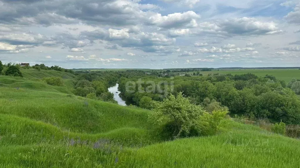 участок в орловская область, орловский район, с. салтыки (25.0 сот.) - Фото 0