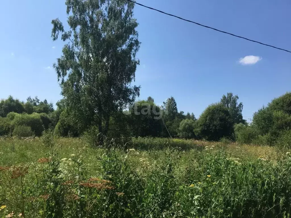 Участок в Калужская область, Бабынинский муниципальный округ, ... - Фото 1