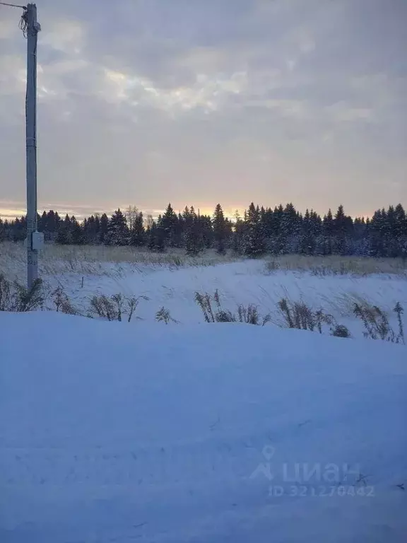 Участок в Удмуртия, Завьяловский район, д. Сизево ул. Дивная Горка, 38 ... - Фото 0