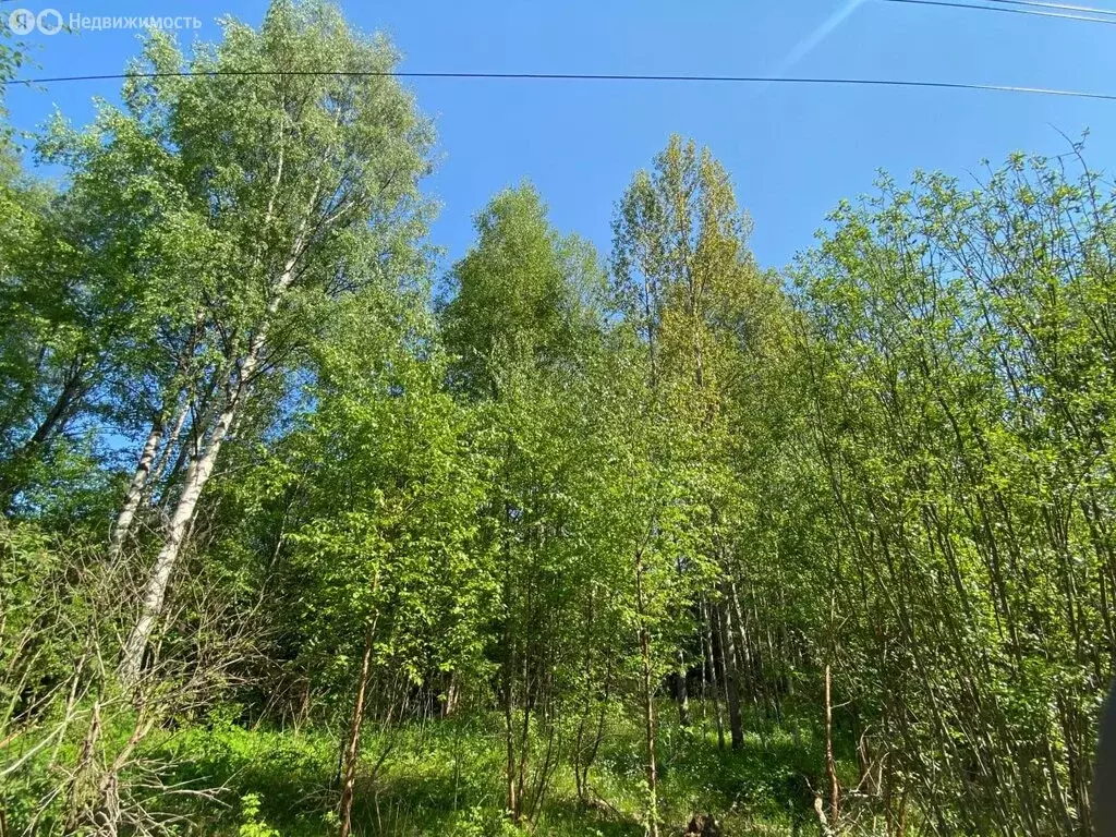 Участок в Куйвозовское сельское поселение, КП Грузино сити (6 м) - Фото 2