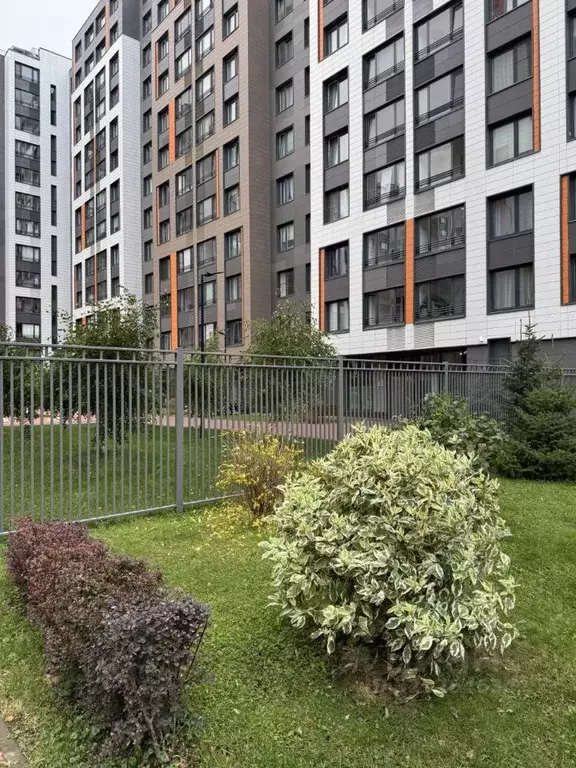 2-к кв. Санкт-Петербург ул. Грибалевой, 7к1 (62.1 м) - Фото 2