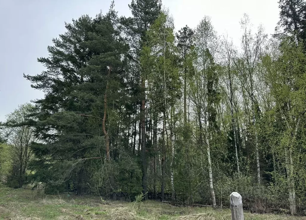 Участок в Московская область, Ступино городской округ, с. Ивановское ... - Фото 1