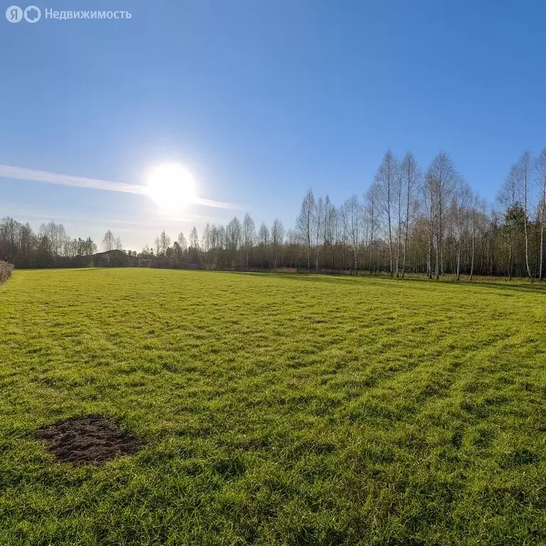 Участок в деревня Старая Руза, Берёзовая улица (20 м) - Фото 1