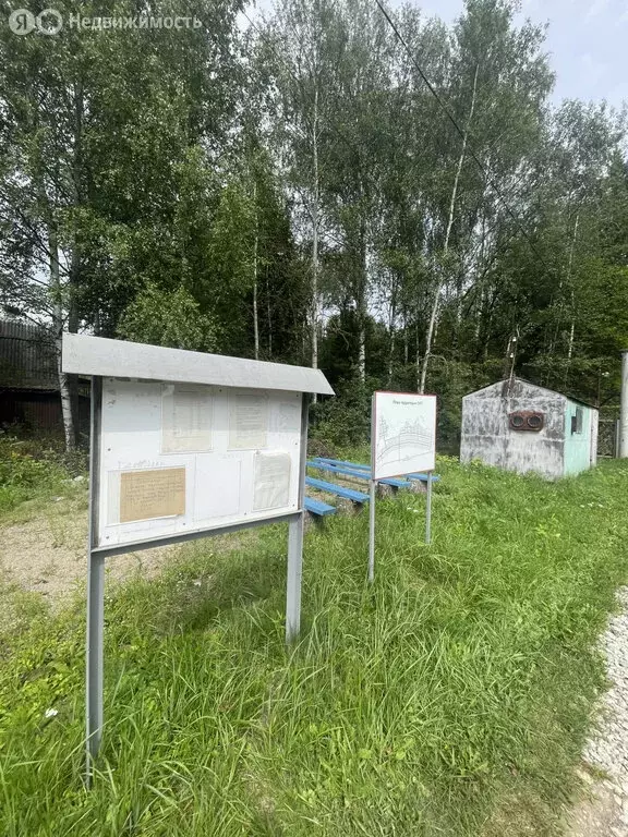 Участок в Нижегородская область, Бор (4.5 м) - Фото 2