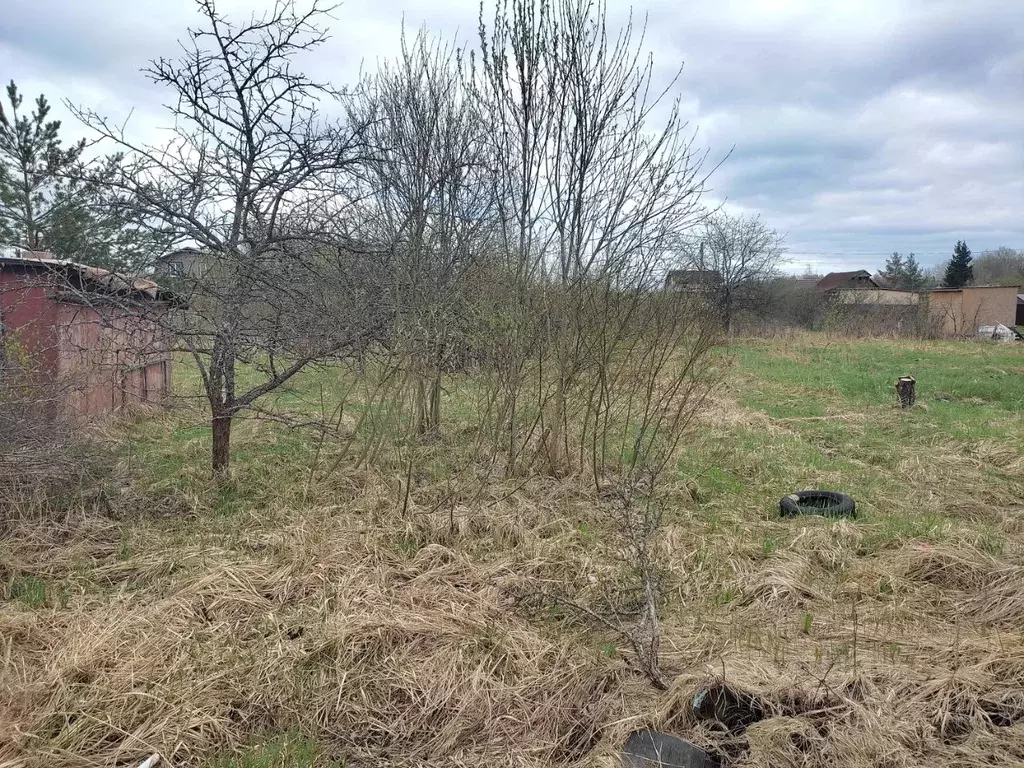 Участок в Новгородская область, Новгородский район, Ермолинское с/пос, ... - Фото 0
