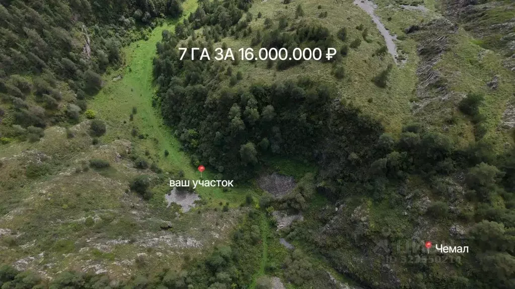 Участок в Алтай, Чемальский район, Чемальское с/пос  (7.0 сот.) - Фото 1