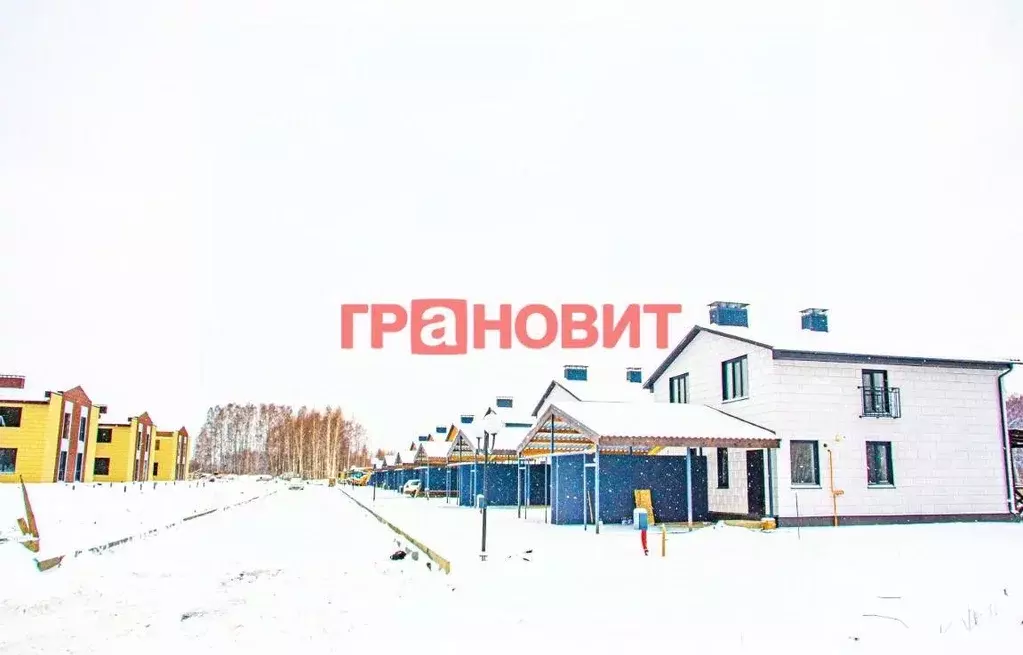 Таунхаус в Новосибирская область, Мошковский район, с. Новомошковское ... - Фото 1
