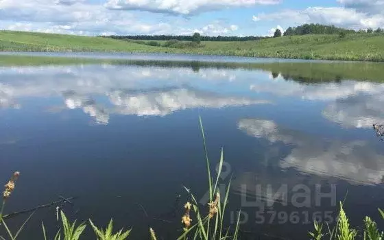 Участок в Тульская область, Ясногорский район, Теляковское ... - Фото 0