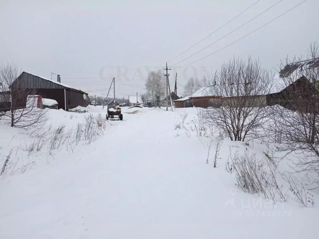 Участок в Алтайский край, Советский район, с. Платово  (8.0 сот.) - Фото 1