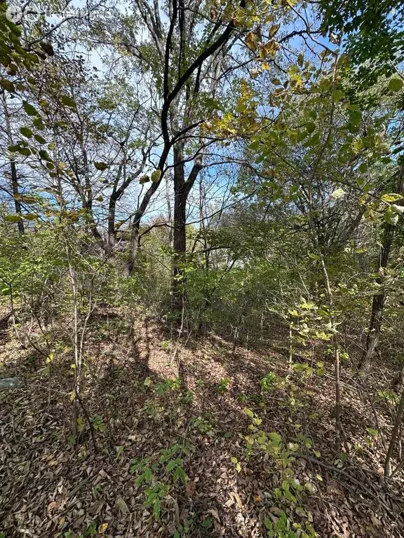 Участок в Артём, садовое некоммерческое товарищество Тополёк (6 м) - Фото 1