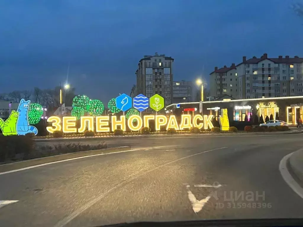 1-к кв. Калининградская область, Зеленоградск ул. Тургенева, 16А (41.0 ... - Фото 1