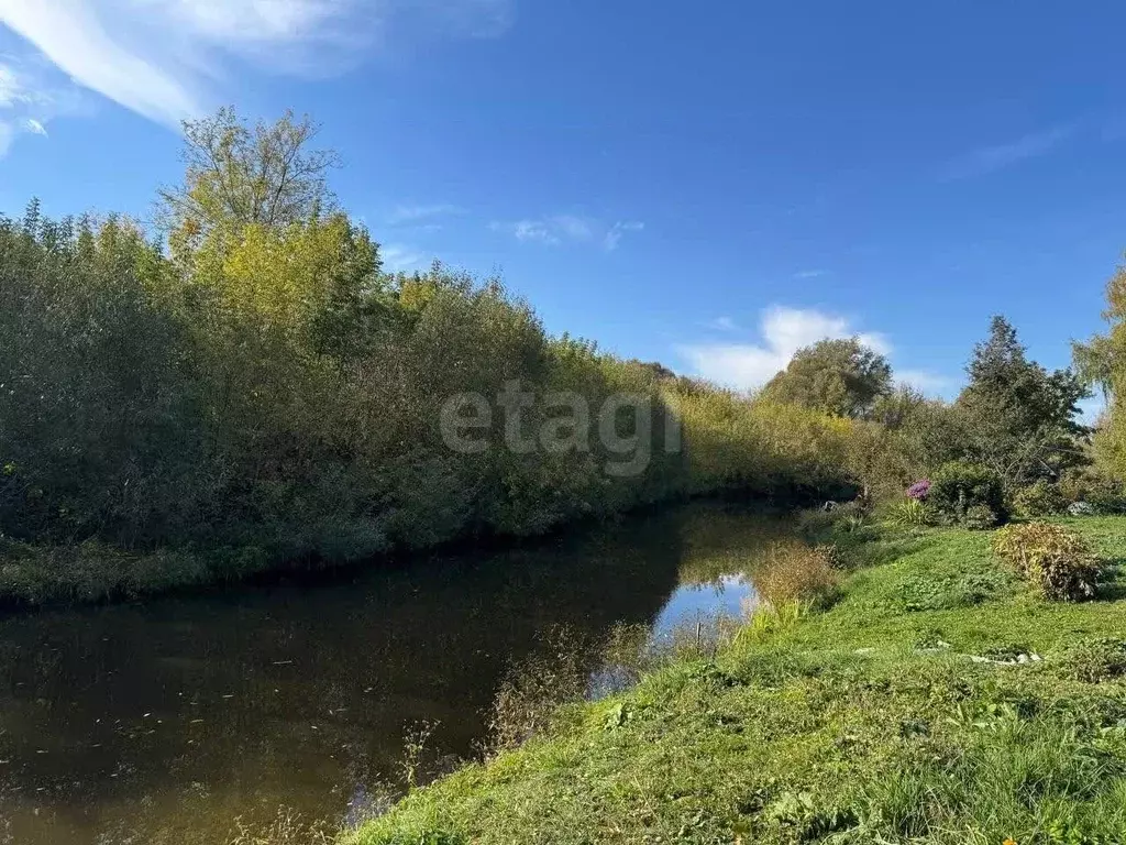 Участок в Брянская область, Жирятинское с/пос, с. Страшевичи ул. ... - Фото 1