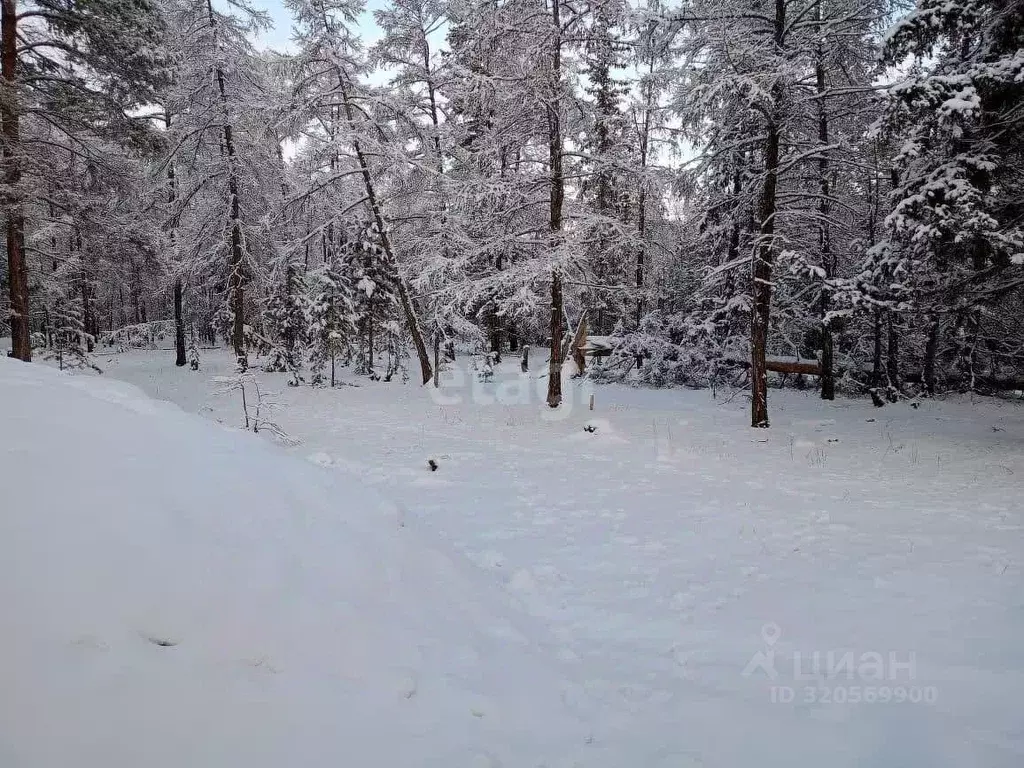Участок в Саха (Якутия), Намский улус, Хомустахский 1-й наслег, с. ... - Фото 0