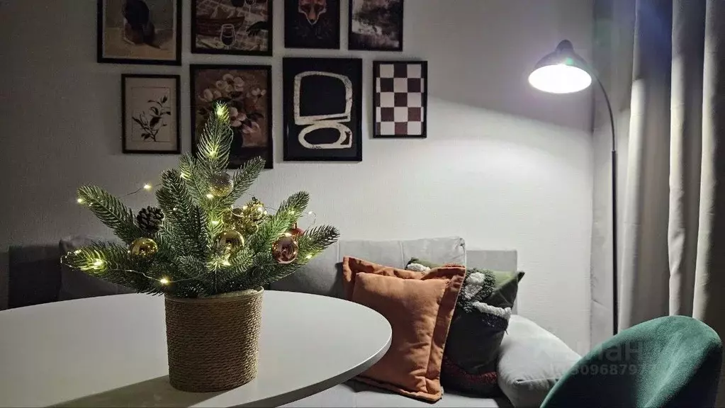 1-к кв. Нижегородская область, Нижний Новгород 2-я Оранжерейная ул., ... - Фото 2