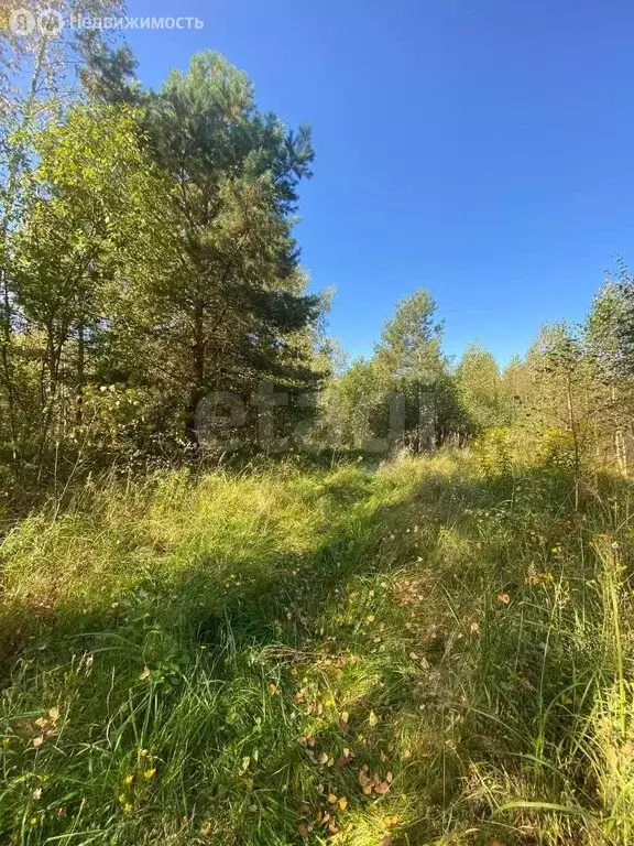 Участок в Выгоничский район, Хмелевское сельское поселение, деревня ... - Фото 0