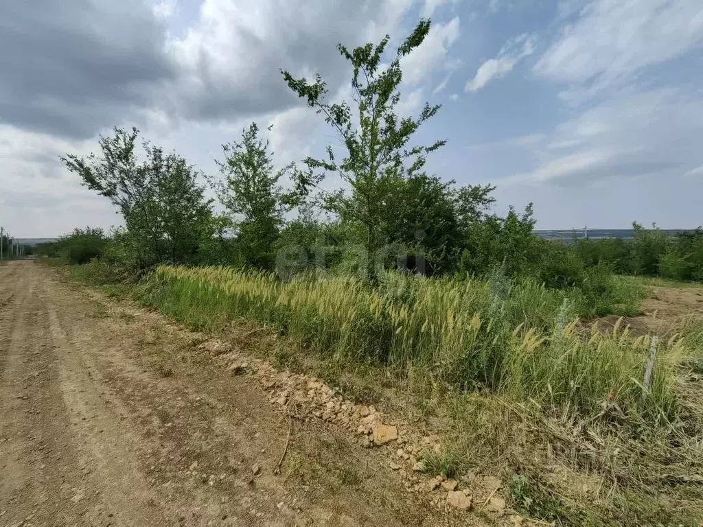 Участок в Ростовская область, Родионово-Несветайский район, ... - Фото 0