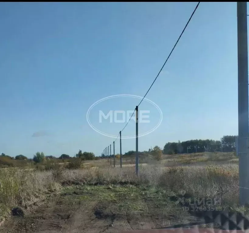 Участок в Калининградская область, Гурьевский муниципальный округ, ... - Фото 1