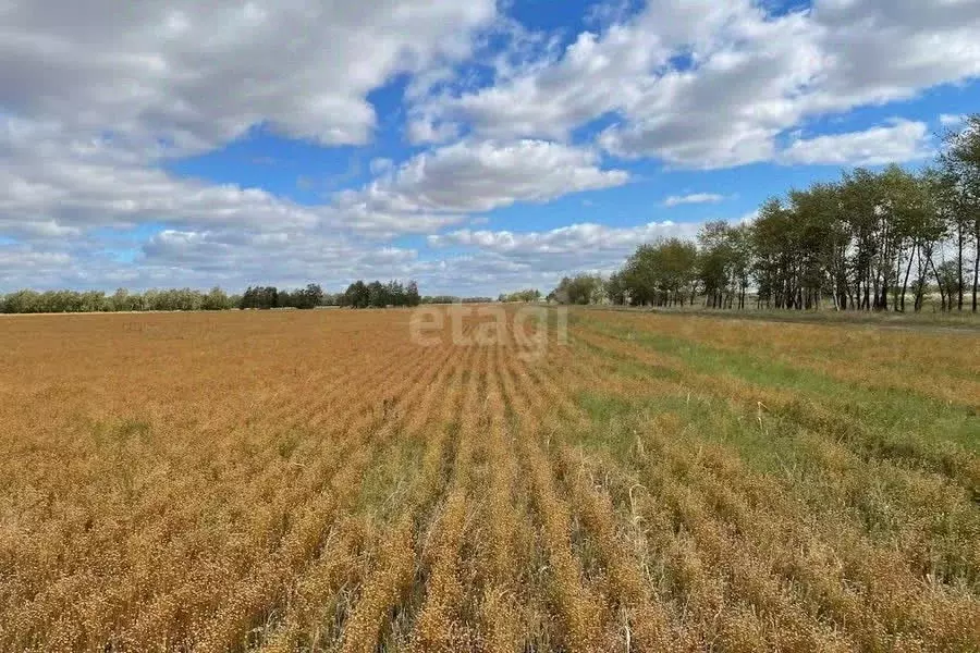 Участок в Новосибирская область, Мошковский район, с. Барлак  (190.0 ... - Фото 1