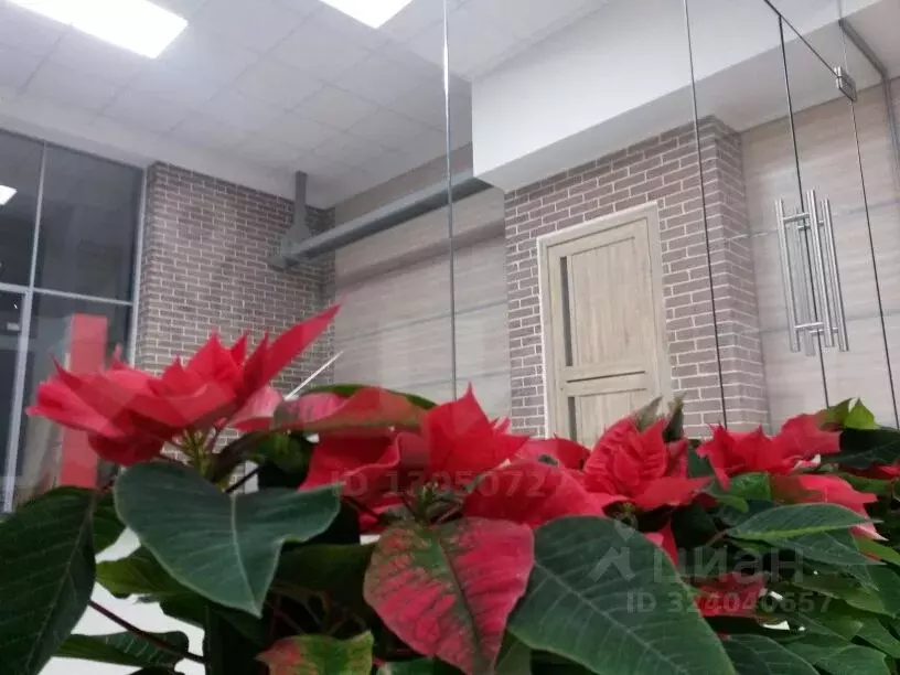 Офис в Москва Феодосийская ул., 1К11 (42 м) - Фото 1