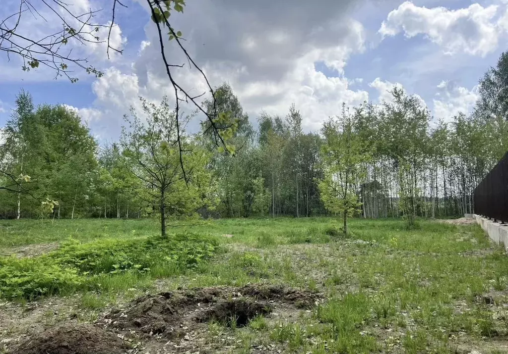 Участок в Московская область, Богородский городской округ, д. ... - Фото 1