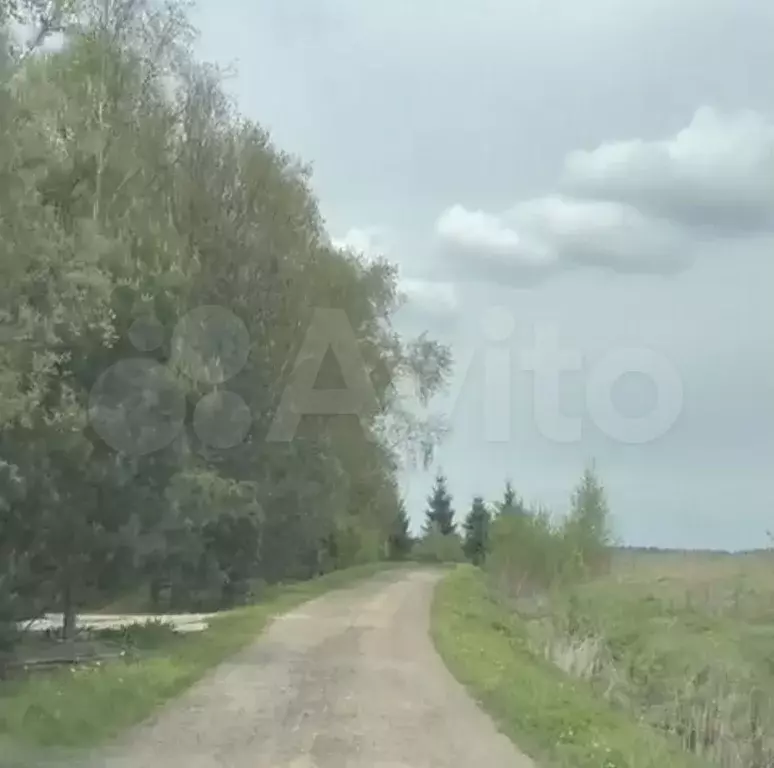 Участок 9 сот. (СНТ, ДНП) - Фото 0