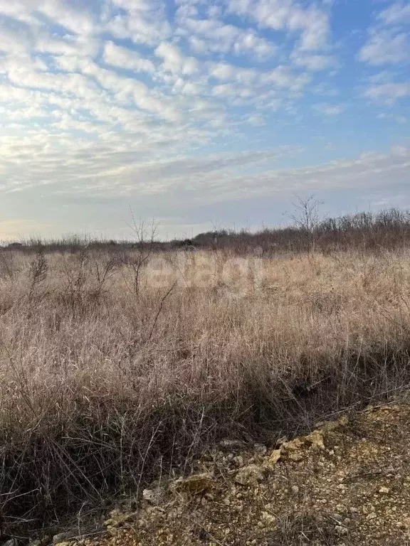 Участок в Ростовская область, Аксайский район, Старочеркасская ст-ца  ... - Фото 1
