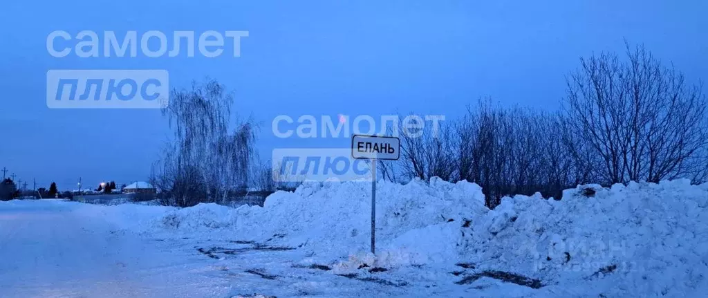 Участок в Тюменская область, Тюменский муниципальный округ, д. Елань ... - Фото 2