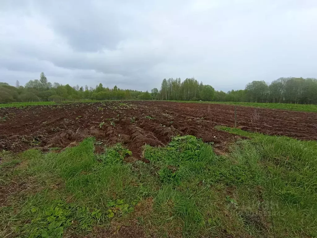 Участок в Новгородская область, Новгородский район, Савинское с/пос, ... - Фото 0