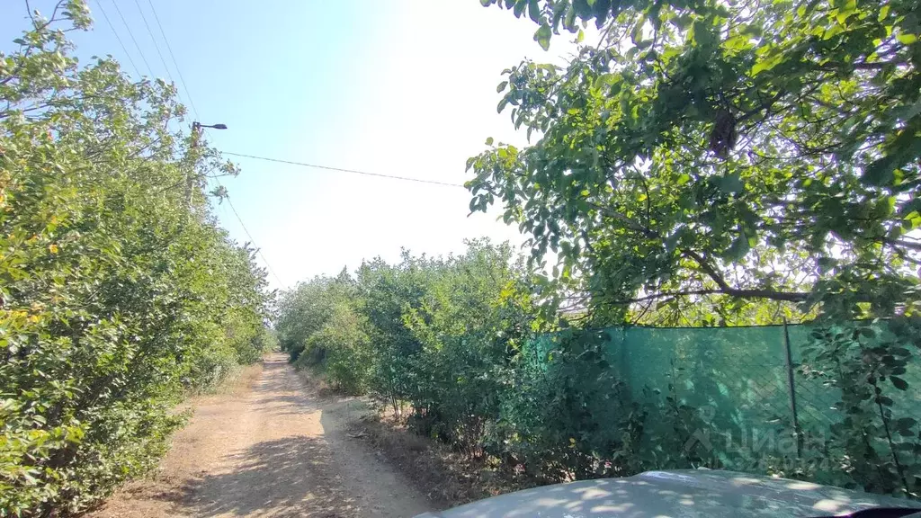 Участок в Ростовская область, Неклиновский район, Синявское с/пос, ... - Фото 1