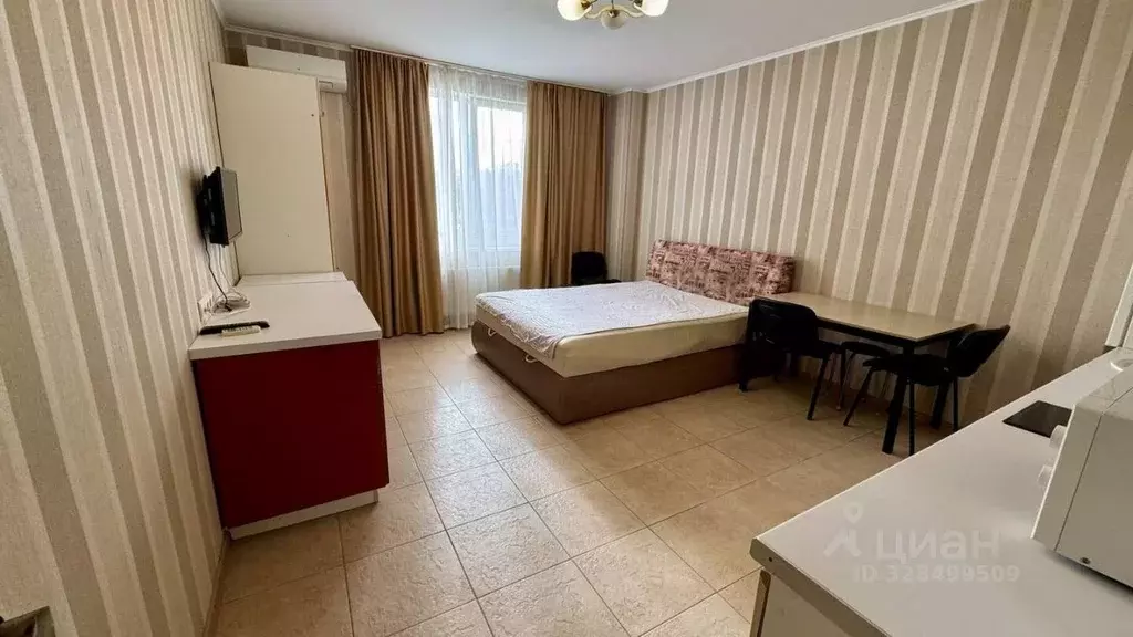 Студия Севастополь просп. Античный, 20А (25.0 м) - Фото 1