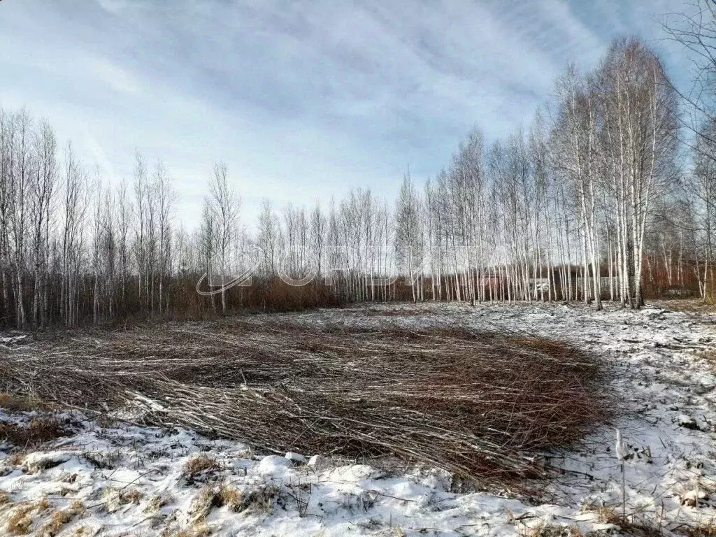 Участок в Тюменская область, Нижнетавдинский муниципальный округ, ... - Фото 1