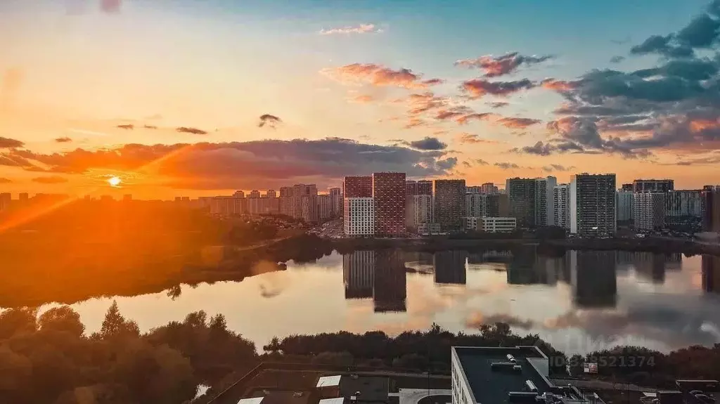 1-к кв. Московская область, Люберцы Зенино ЖК Самолет мкр, ул. Камова, ... - Фото 2