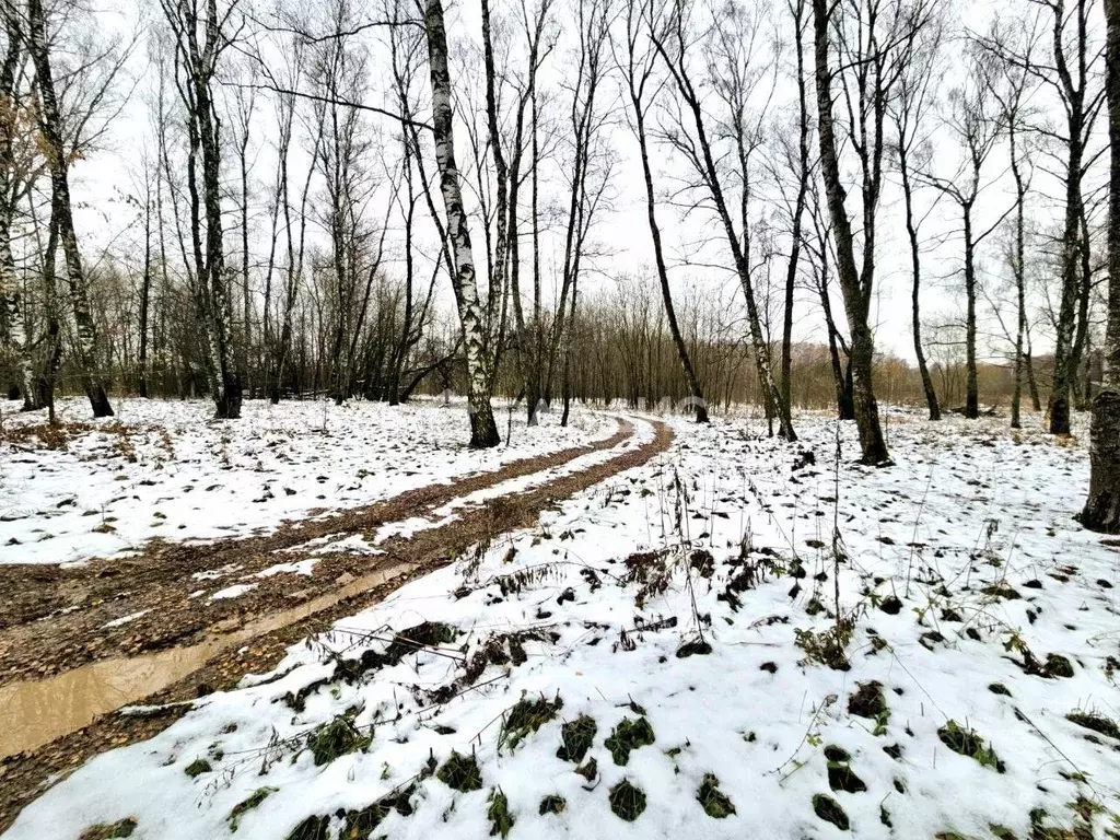 Участок в Московская область, Коломна городской округ, пос. ... - Фото 1