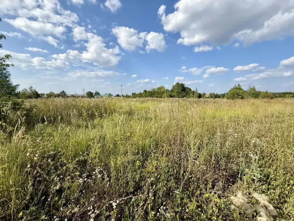 Участок в Мордовия, Лямбирский район, Саловское с/пос, с. Саловка ул. ... - Фото 1
